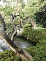 Japan Teezeremonie
