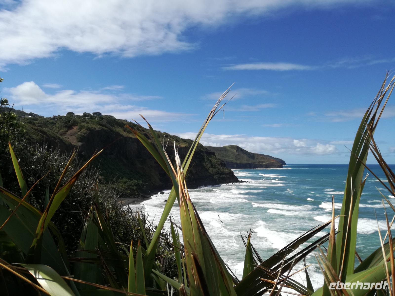 Matakana