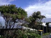 Matakana