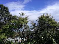 Matakana