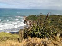 Matakana
