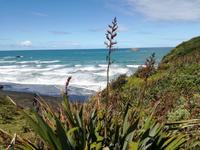 Matakana