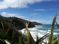 Matakana