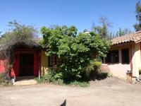 Mittagessen Chile