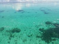 Moorea