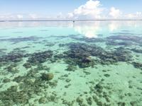 Moorea