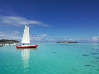 Moorea