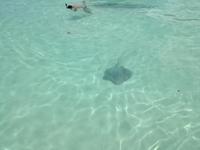 Moorea