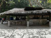 Moorea