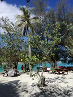 Moorea