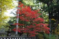 Nikko-Nationalpark