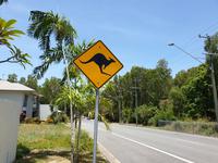 Palm Cove