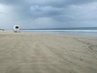 Port Elizabeth