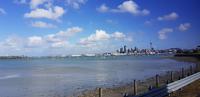 Rückfahrt nach Auckland