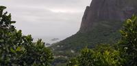 Rio de Janeiro - Jeep Safari in den Urbanen Regenwald