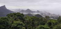 Rio de Janeiro - Jeep Safari in den Urbanen Regenwald