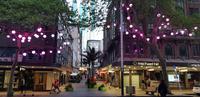 Spaziergang durch Auckland