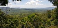 Spaziergang durch den Regenwald in Kuranda