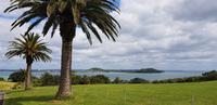 Stadtrundfahrt Auckland - Michael Joseph Savage Memorial