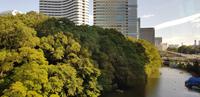 Stadtrundfahrt durch Tokio