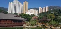 Stadtrundfahrt in Hong Kong - Nan Lian Garten und Chi Lin Nonnenkloster