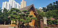 Stadtrundfahrt in Hong Kong - Nan Lian Garten und Chi Lin Nonnenkloster