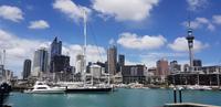 Stadtrundgang durch Auckland 