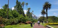 Stadtrundgang durch Auckland