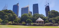 Stadtrundgang durch Sydney - Botanischer Garten