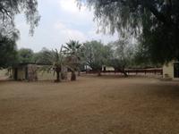 Strausenfarm