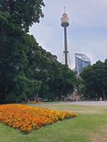 Sydney