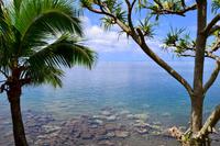 Tahiti 