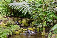 Tahiti Impressionen