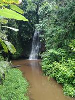 Tahiti