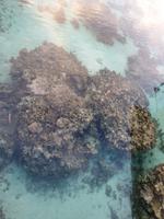 Tahiti