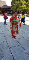 Tokio - Meji Schrein