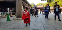 Tokio - Meji Schrein
