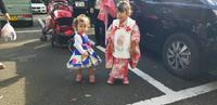 Tokio - Meji Schrein