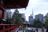 Tokio