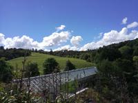 Weingut Bricksbay