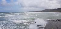 Westküste - Spaziergang am Muriwai Beach