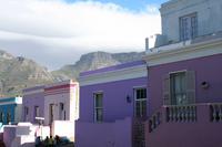 010IMG_1 (77)