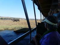 Fahrt auf dem Chobe