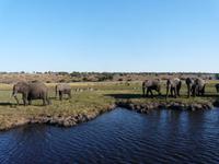 Fahrt auf dem Chobe