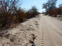 In der Savuit-Region