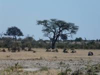 In der Savuit-Region