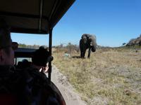 In der Savuit-Region