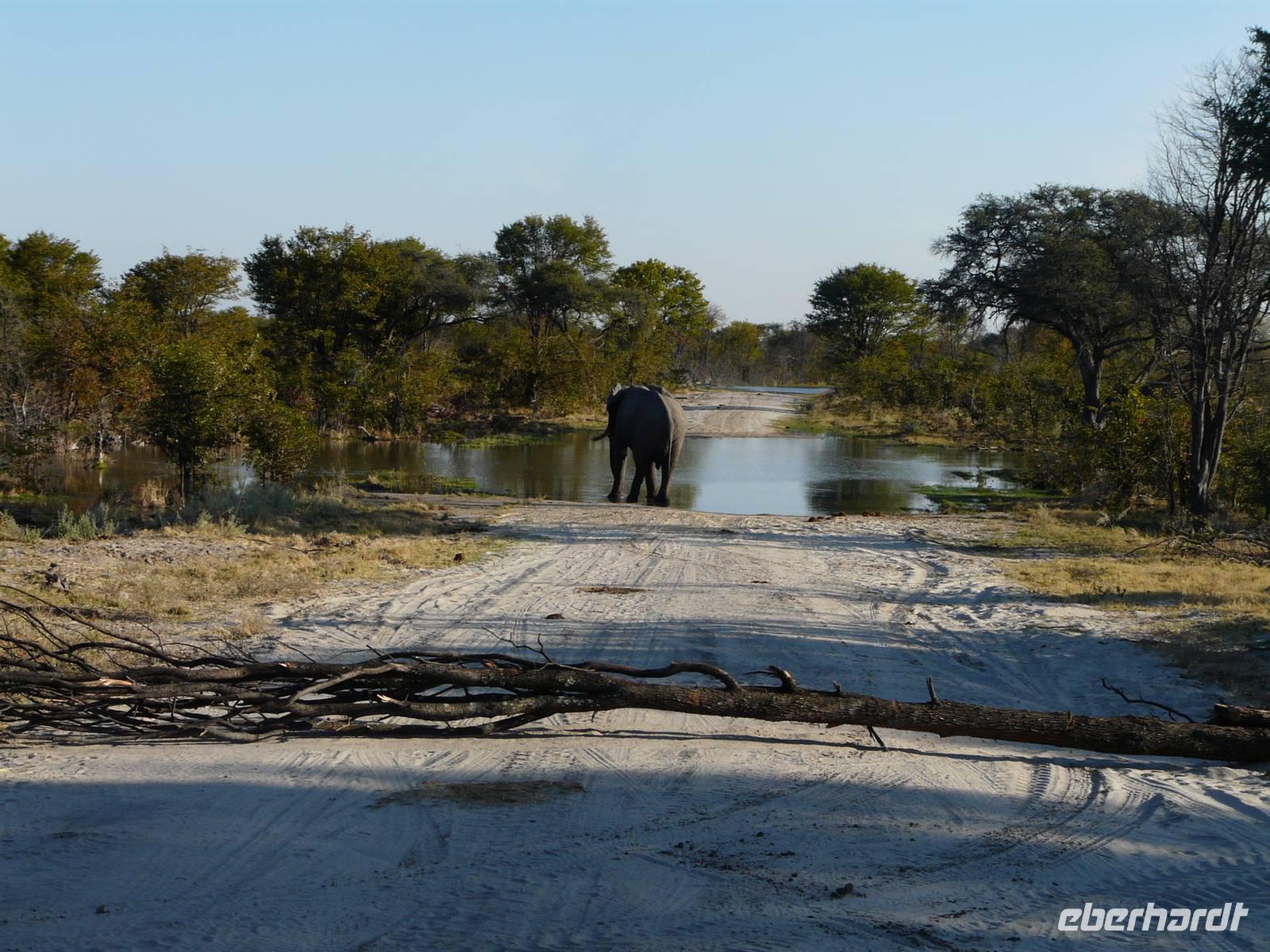 In der Savuit-Region