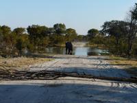 In der Savuit-Region