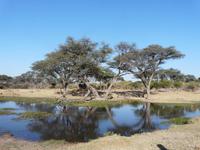 Spaziergang unweit der Mogothlo Lodge
